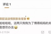 吃瓜娱乐地理,揭秘娱乐圈背后的故事与热点